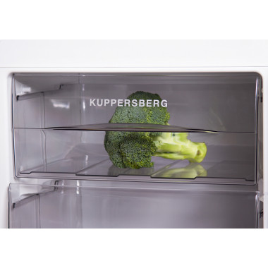 Встраиваемый холодильник Kuppersberg NRB 17761